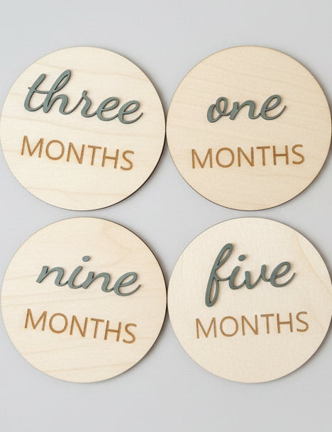 3D Monthly Milestone Wooden Discs – First Year Set (12)