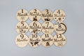 Wooden Baby Monthly Milestone Photo Props – Adventure Theme, 12 Pieces