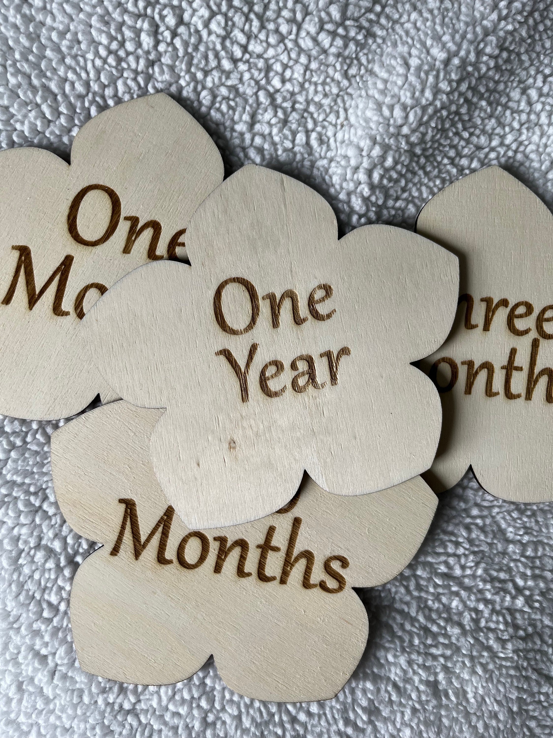 Monthly Milestone Discs / floral Theme / flower, rose, violet / Baby Photo Props / Baby Shower Gifts