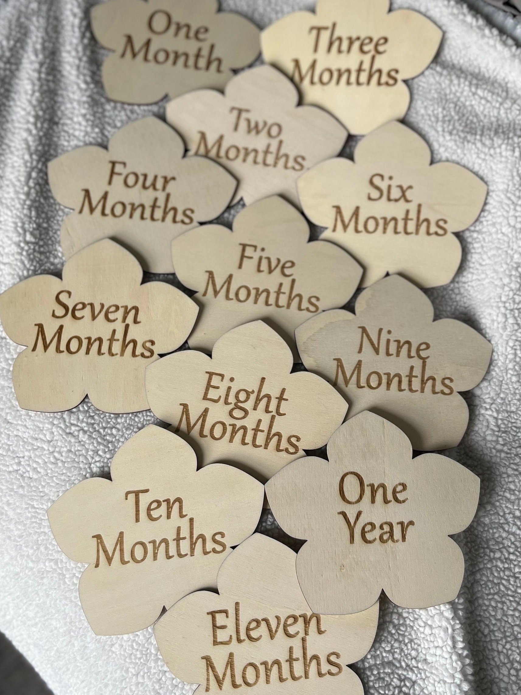 Monthly Milestone Discs / floral Theme / flower, rose, violet / Baby Photo Props / Baby Shower Gifts