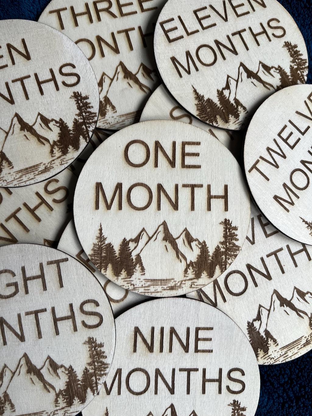 Wilderness Mountain Baby Monthly Milestone Discs – First Year Set (12)