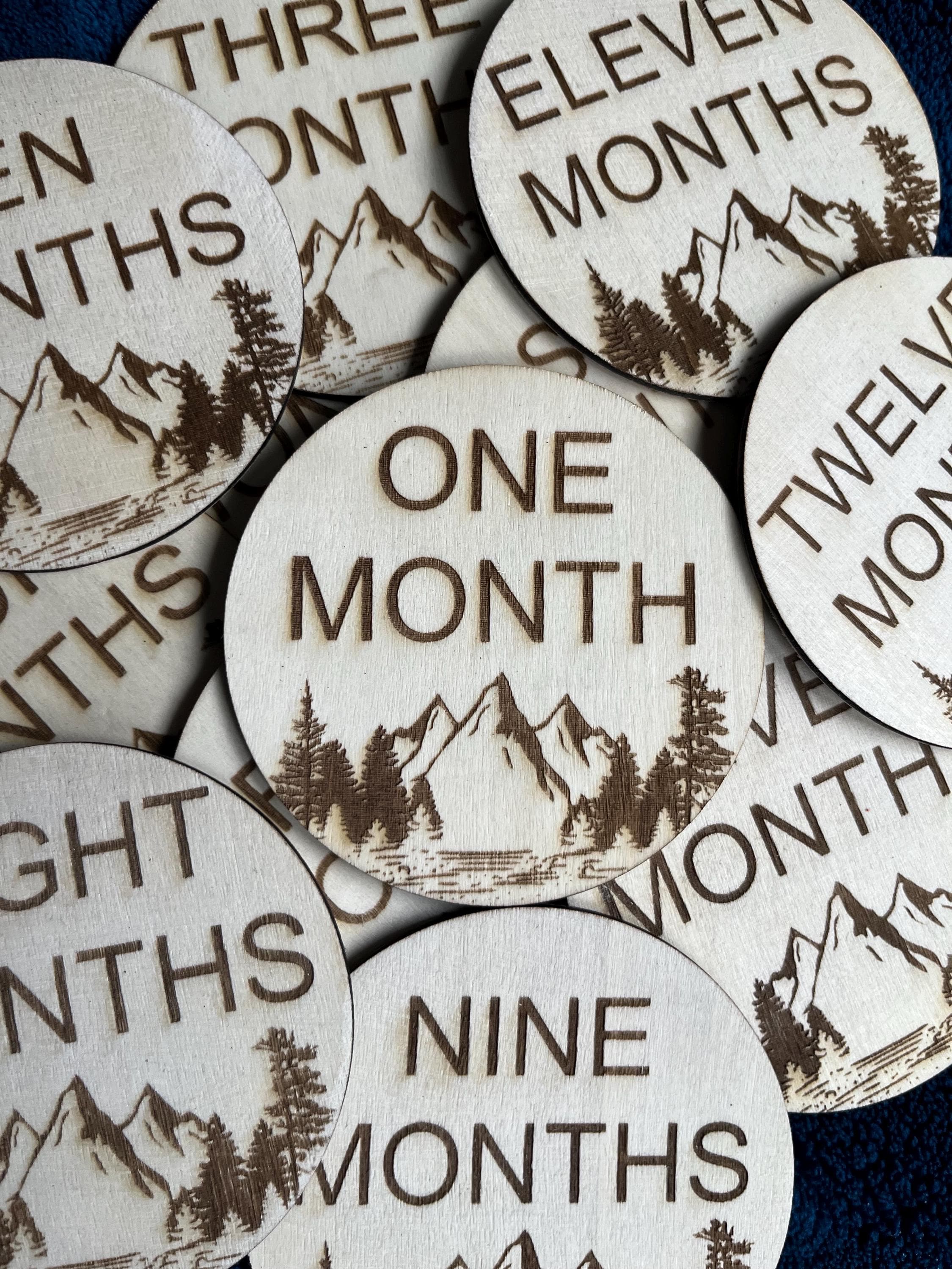 Wilderness Mountain Baby Monthly Milestone Discs – First Year Set (12)