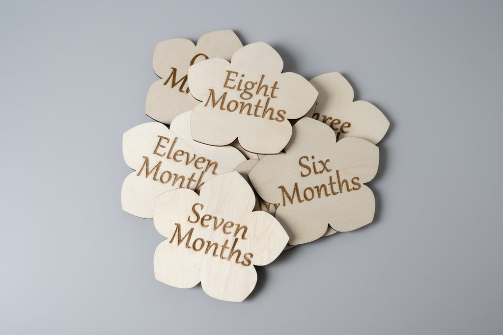 Monthly Milestone Discs / floral Theme / flower, rose, violet / Baby Photo Props / Baby Shower Gifts