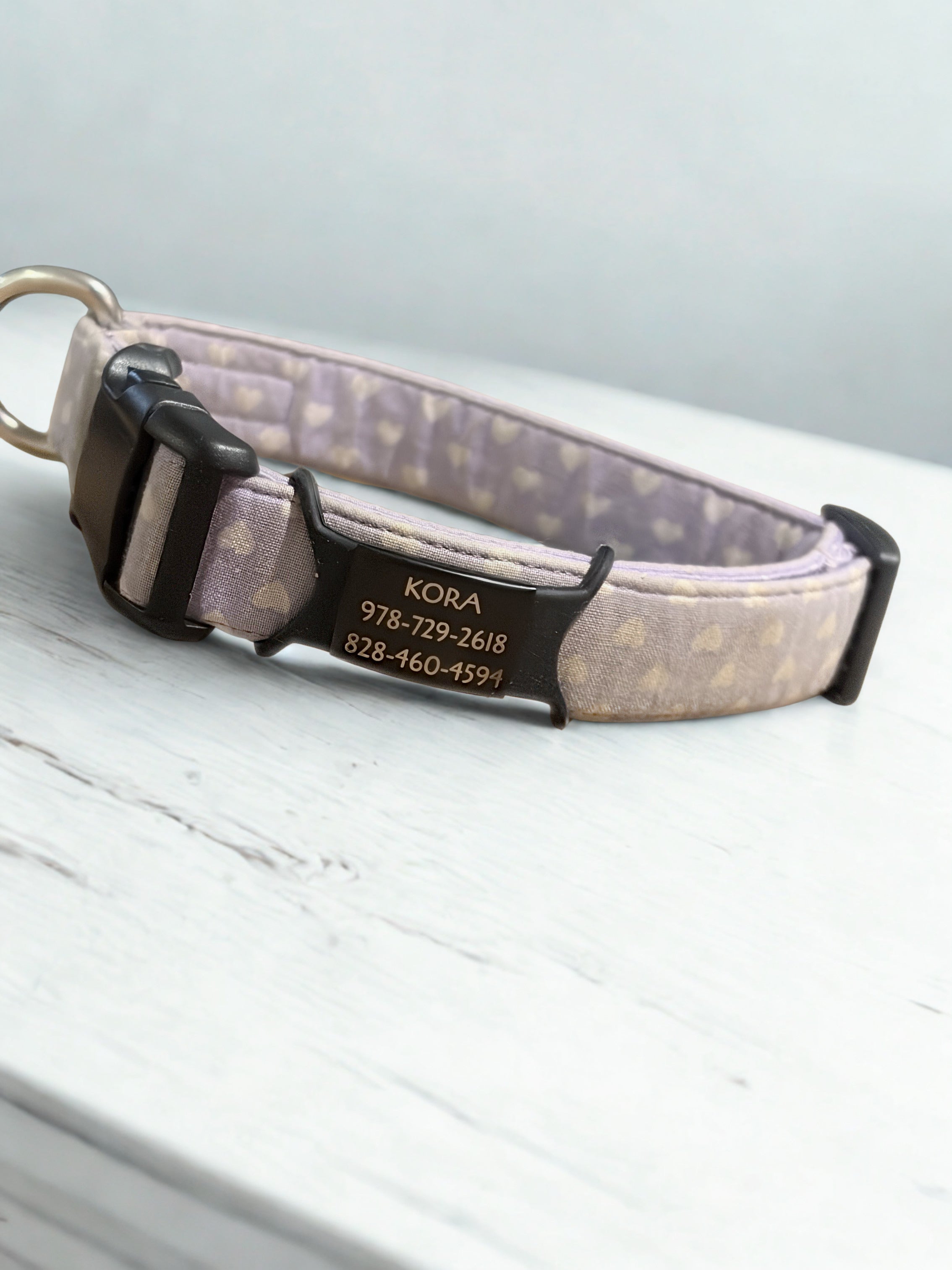 Personalized Silicone Loop Pet ID Tag | Laser Engraved Aluminum Dog Tag | Silent, Slide-On Collar Tag