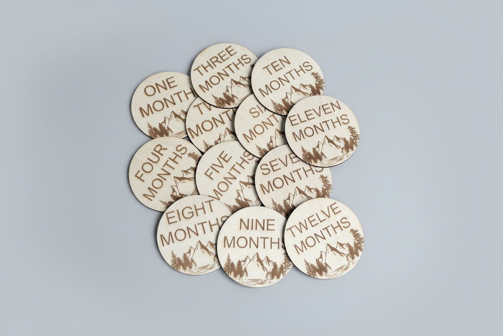Wilderness Mountain Baby Monthly Milestone Discs – First Year Set (12)
