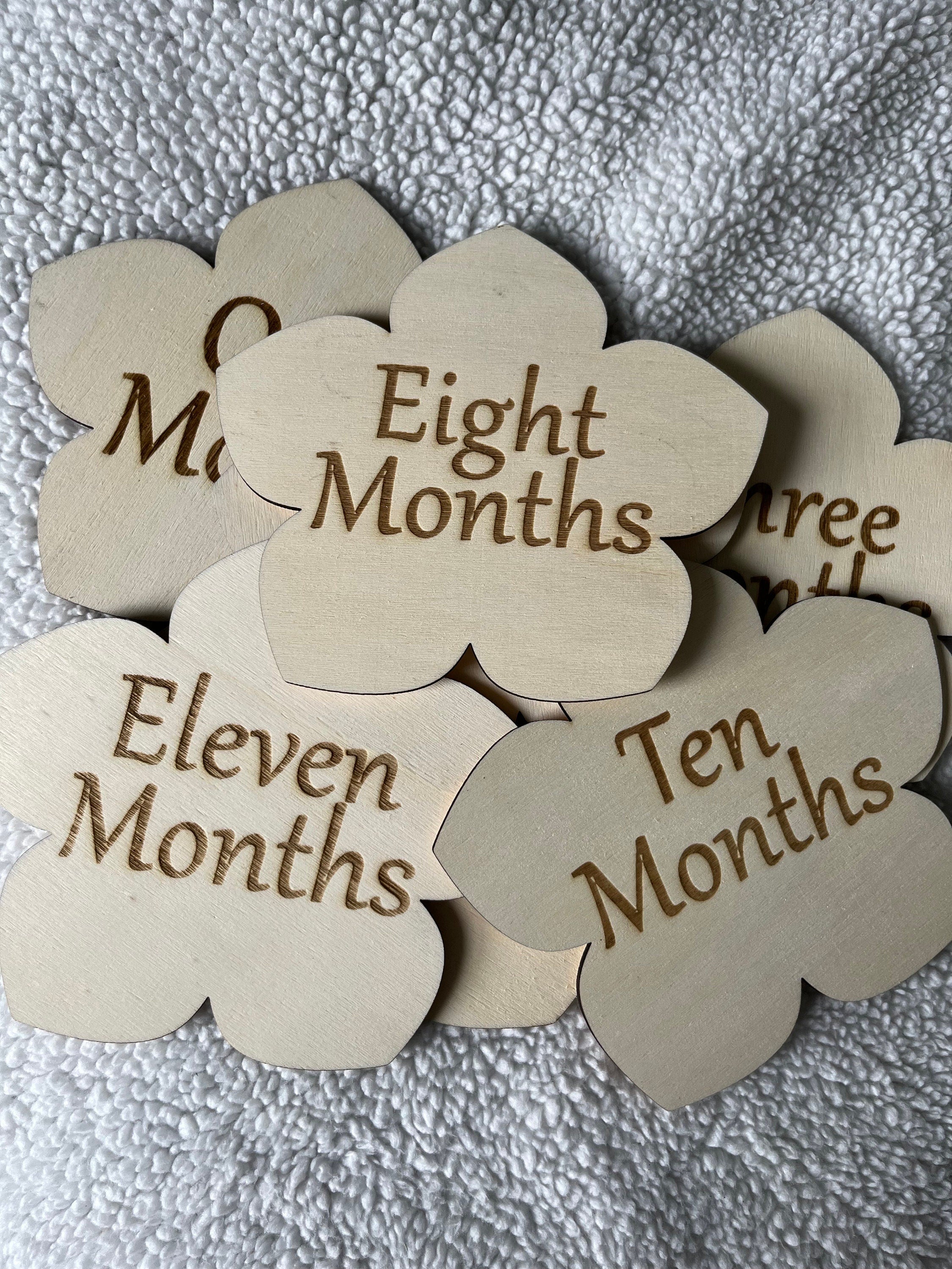 Monthly Milestone Discs / floral Theme / flower, rose, violet / Baby Photo Props / Baby Shower Gifts