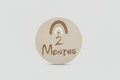 Boho Rainbow Wooden Monthly Milestone Set (Set of 12)