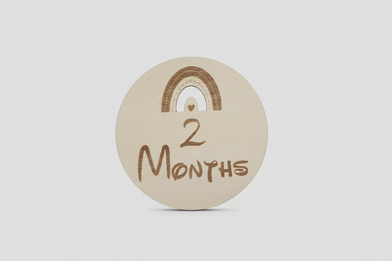 Boho Rainbow Wooden Monthly Milestone Set (Set of 12)
